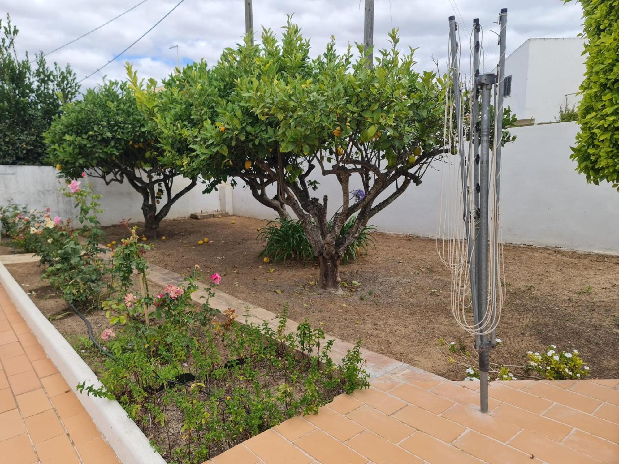 Casa Dos Arcos Villa Olhos de Agua  Bagian luar foto